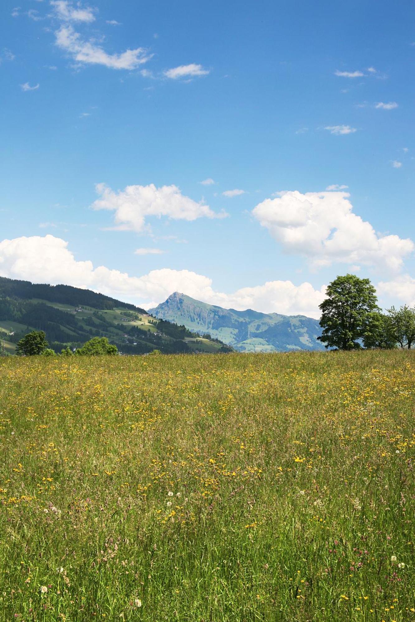 Loipenstubn Brixen im Thale Exterior foto